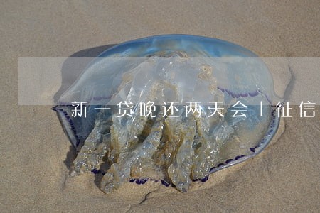 新一贷晚还两天会上征信逾期么 新一贷晚还两天会上征信逾期么