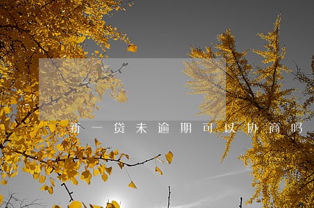 新一贷未逾期可以协商吗 新一贷未逾期可以协商吗