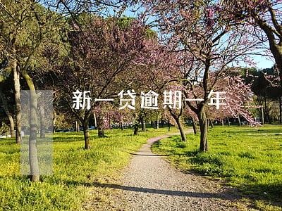 新一贷逾期一年