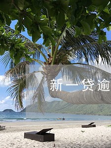 新一贷逾期三年了 新一贷逾期三年了