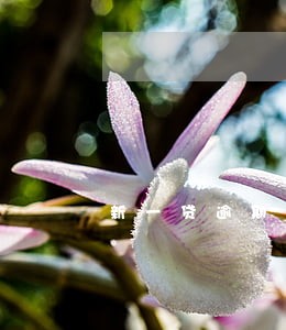 新一贷逾期两年 新一贷逾期两年