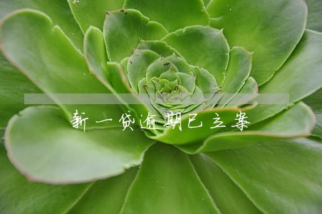 新一贷逾期已立案 新一贷逾期已立案