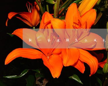 新一贷逾期怎么减免利息的 新一贷逾期怎么减免利息的