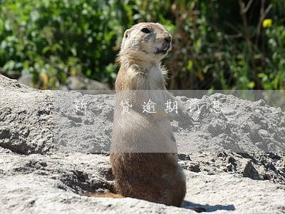 新一贷逾期罚息 新一贷逾期罚息