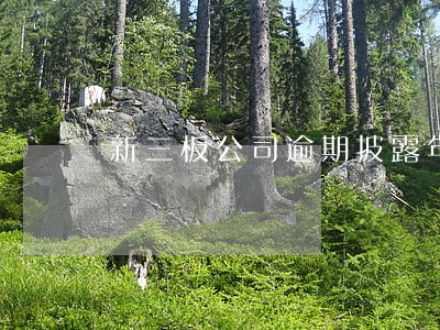新三板公司逾期披露年报 新三板公司逾期披露年报