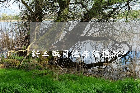 新三板司法冻结指南 新三板司法冻结指南