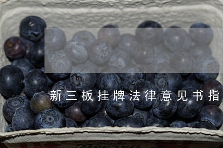新三板挂牌法律意见书指引 新三板挂牌法律意见书指引