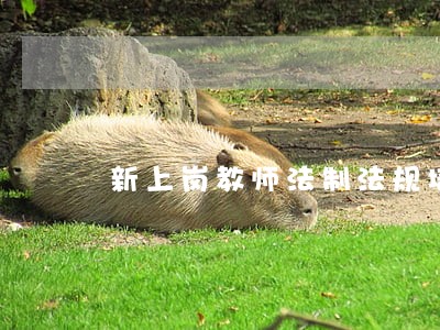新上岗教师法制法规培训讲稿 新上岗教师法制法规培训讲稿