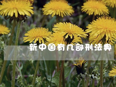 新中国有几部刑法典 新中国有几部刑法典