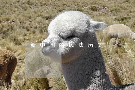 新中国的民法历史 新中国的民法历史