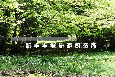 新丰丰城街道司法所 新丰丰城街道司法所