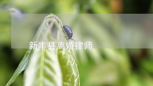 新丰县离婚律师 新丰县离婚律师