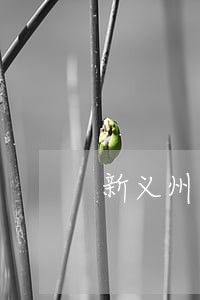 新义州人眼中的丹东 新义州人眼中的丹东