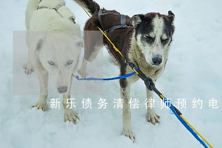 新乐债务清偿律师预约电话 新乐债务清偿律师预约电话