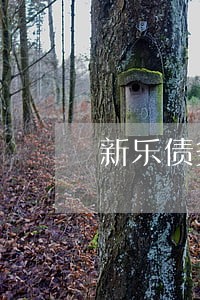 新乐债务清欠律师服务网站 新乐债务清欠律师服务网站