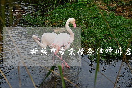 新乐市专业债务律师排名 新乐市专业债务律师排名