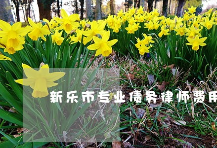 新乐市专业债务律师费用 新乐市专业债务律师费用