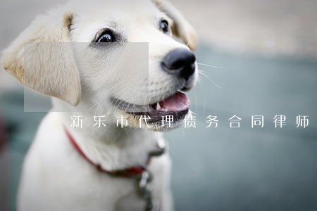 新乐市代理债务合同律师微信咨询 新乐市代理债务合同律师微信咨询