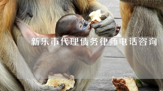 新乐市代理债务律师电话咨询 新乐市代理债务律师电话咨询