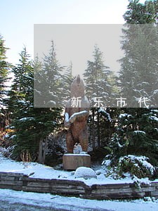 新乐市代理债权债务律师排名 新乐市代理债权债务律师排名
