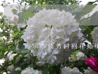 新乐市债务讨回律师电话多少 新乐市债务讨回律师电话多少