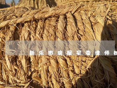 新乐市房屋买卖律师如何委托 新乐市房屋买卖律师如何委托