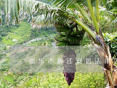 新乐市拆迁安置法律咨询热线 新乐市拆迁安置法律咨询热线