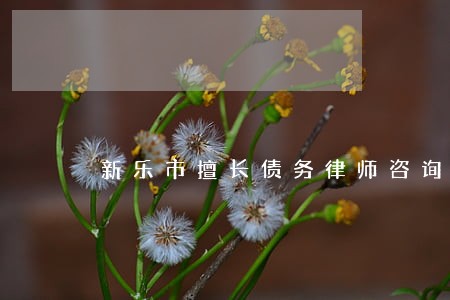 新乐市擅长债务律师咨询专线 新乐市擅长债务律师咨询专线