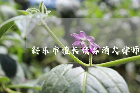 新乐市擅长债务清欠律师咨询网站 新乐市擅长债务清欠律师咨询网站