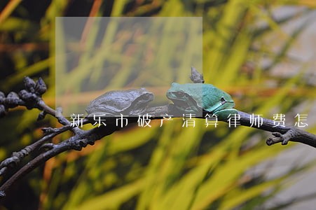新乐市破产清算律师费怎么算 新乐市破产清算律师费怎么算