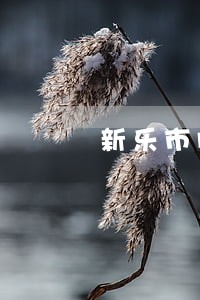 新乐市胜诉多的债务合同律师费用 新乐市胜诉多的债务合同律师费用