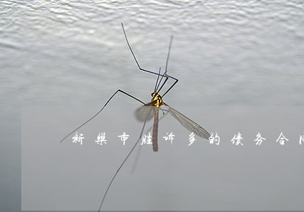 新乐市胜诉多的债务合同律师选谁 新乐市胜诉多的债务合同律师选谁