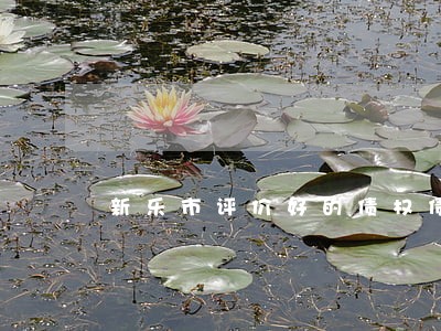 新乐市评价好的债权债务律师介绍