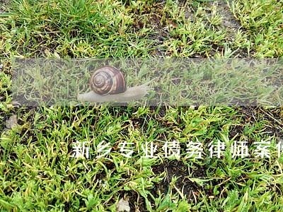 新乡专业债务律师案件咨询 新乡专业债务律师案件咨询