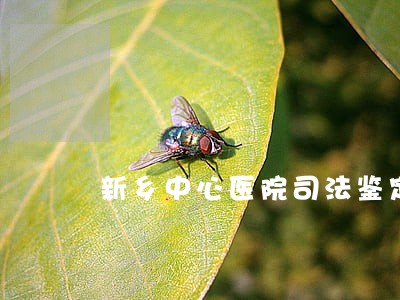 新乡中心医院司法鉴定中心