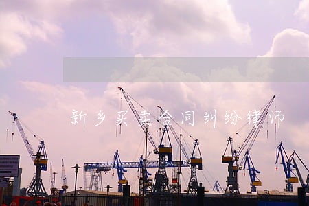 新乡买卖合同纠纷律师 新乡买卖合同纠纷律师