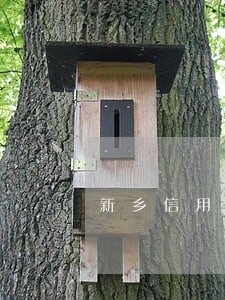 新乡信用卡逾期多久会上征信
