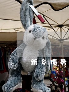 新乡债务风险代理律师预约面谈 新乡债务风险代理律师预约面谈