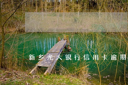新乡光大银行信用卡逾期 新乡光大银行信用卡逾期