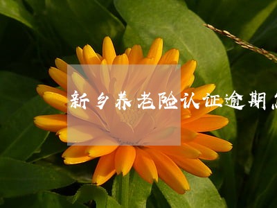 新乡养老险认证逾期怎么办理 新乡养老险认证逾期怎么办理