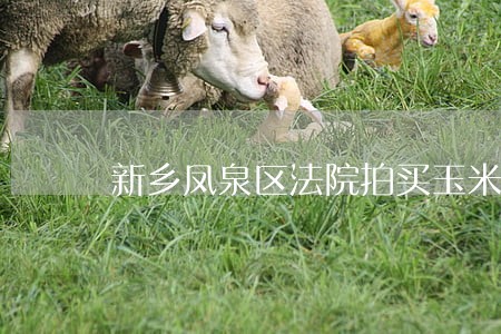 新乡凤泉区法院拍买玉米收割机 新乡凤泉区法院拍买玉米收割机