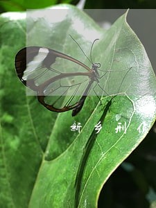 新乡刑侦司法冻结