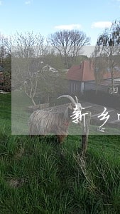 新乡劳动仲裁法律咨询 新乡劳动仲裁法律咨询