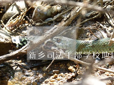 新乡司法干部学校地址 新乡司法干部学校地址