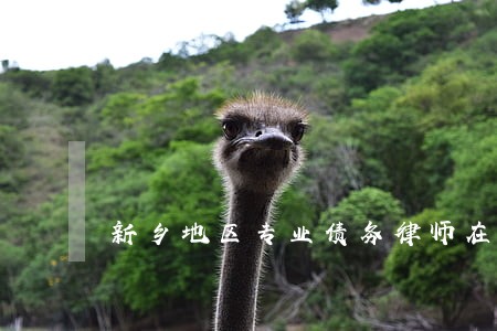 新乡地区专业债务律师在线咨询 新乡地区专业债务律师在线咨询