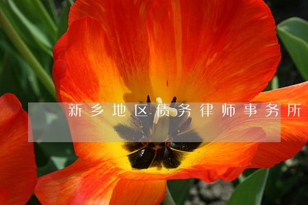 新乡地区债务律师事务所怎么收费 新乡地区债务律师事务所怎么收费