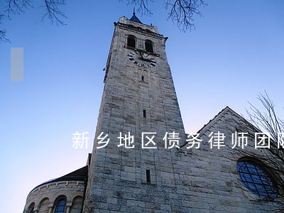 新乡地区债务律师团队案件咨询 新乡地区债务律师团队案件咨询