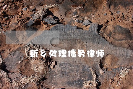 新乡处理债务律师 新乡处理债务律师