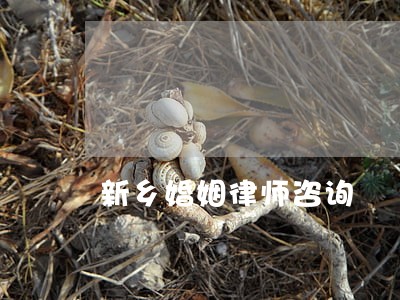 新乡婚姻律师咨询