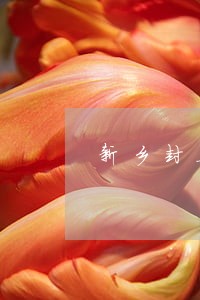 新乡封丘县大型债务律师 新乡封丘县大型债务律师